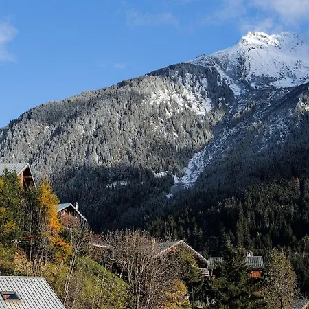 Direct Access To Gondola, Downtown, South-facing La Plagne