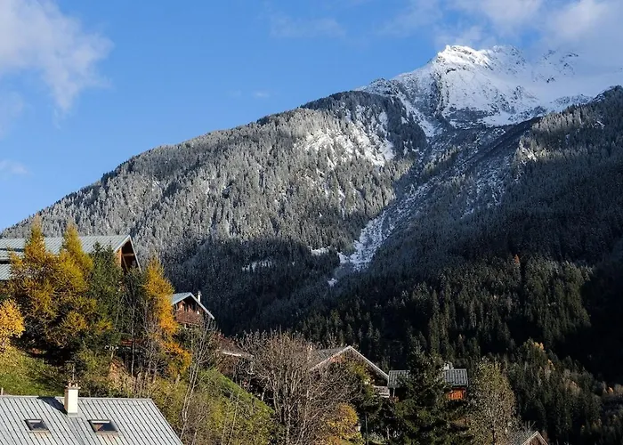 Direct Access To Gondola, Downtown, South-facing La Plagne